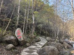 -玉渡山自然风景区