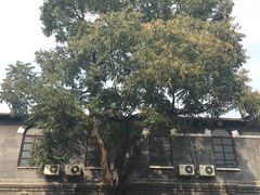 -天主教堂(莲池区)