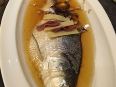老酒蒸鲥鱼-望乡楼上海菜(日月光店)