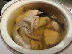 灵芝石斛炖鸽皇-粤小馆(天安云谷店)