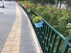 -老磁器口豆汁店(天坛店)