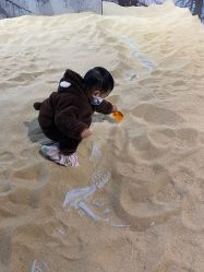 -恐龙探索乐园(磁器口店)