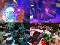 -沈阳海洋探索中心