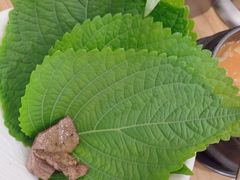 -青瓦餐厅·生鱼片·韩园烤肉(西塔店)