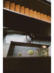 -MECCI婚礼摄影跟拍(红东方广场店)