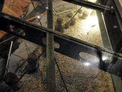 -元代水闸遗址博物馆