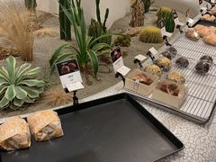 -OUR Bakery(SKP-S店)