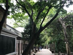 -青岛崂山太清宫