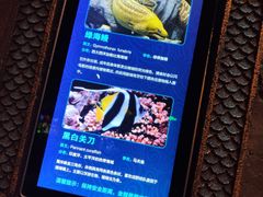 -哈尔滨波塞冬海底世界