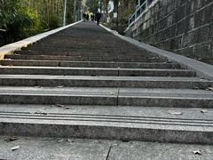 -大罗山风景区