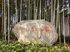 -上海醉白池公园