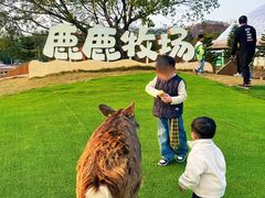 -盈香心动乐园