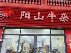 -正宗阳山牛杂(东城店)