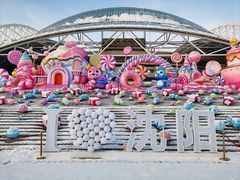 -沈阳奥体冰雪嘉年华