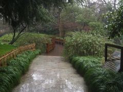 -西湖外事游船(花港观鱼码头)