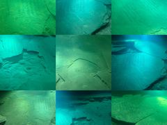 -白鹤梁水下博物馆