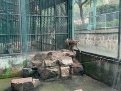 -无锡动物园·太湖欢乐园