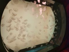 -沈阳海洋探索中心