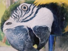 -荆州中山公园动物园