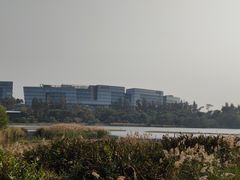 -华侨城湿地公园