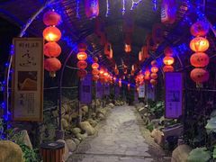 -观澜山水田园