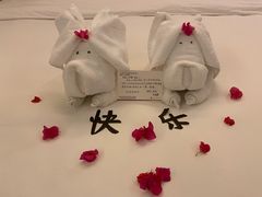 -三亚亚龙湾雅高铂尔曼别墅度假酒店