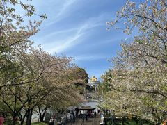 -苏州上方山国家森林公园