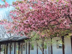 -尚湖风景区