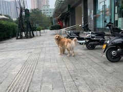 -Be Lived Cafe比例咖啡(摩天轮店)