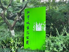 -西湖风景区-江洋畈生态公园