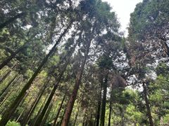 -上海怡沁园度假酒店