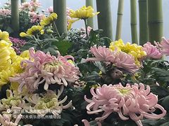 -杭州植物园