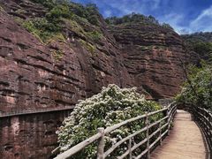 -江西龙虎山景区