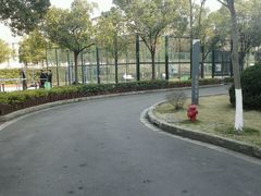 -莘城学校羽毛球馆