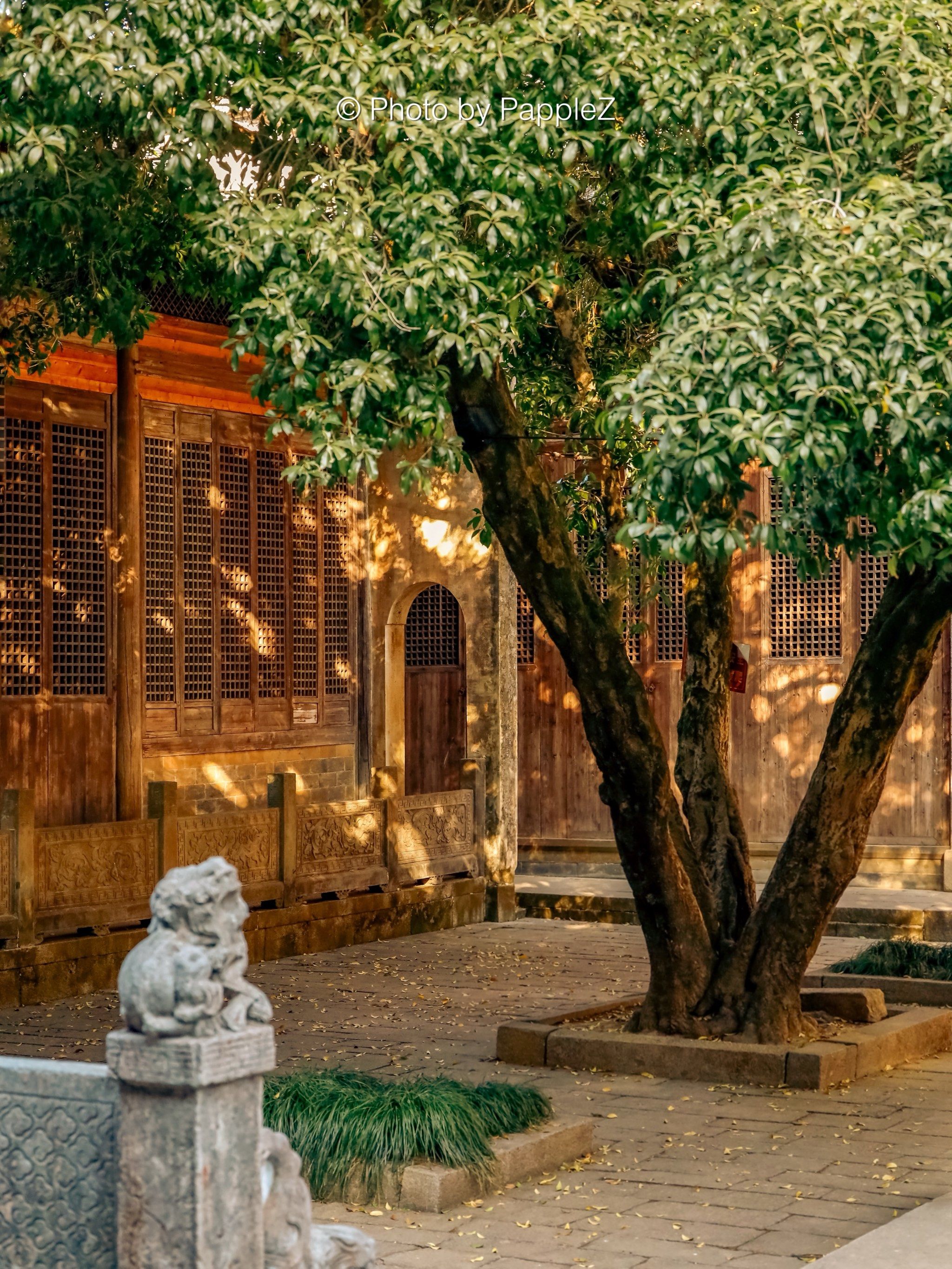 被问爆的取景地❗️呈坎百年古祠美到封神📸