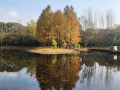-长广溪湿地公园