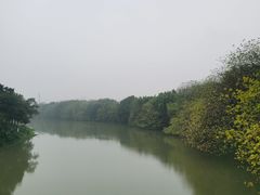 -海珠湖公园