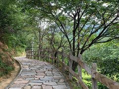 -大岭沟猕猴桃谷风景区