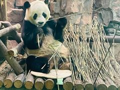 -五龙山野生动物王国