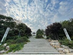 -大兴滨河森林公园