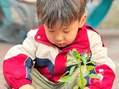 -金豆子幼稚园