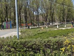 -高尔山公园