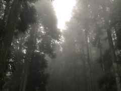 -井冈山风景名胜区-黄洋界