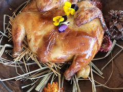 -Hi City·城市之巅