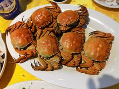 清蒸大閘蟹-老字号蛇口德记烧腊饭店·海鲜加工