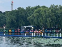 -长春市南湖公园