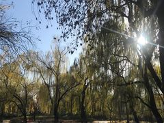 -玲珑塔公园