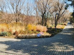 -西湖风景区-江洋畈生态公园