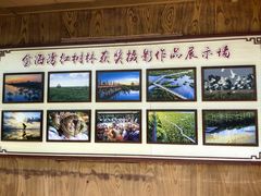 -北海金海湾红树林生态旅游区