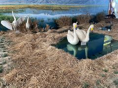 -延庆地质公园博物馆